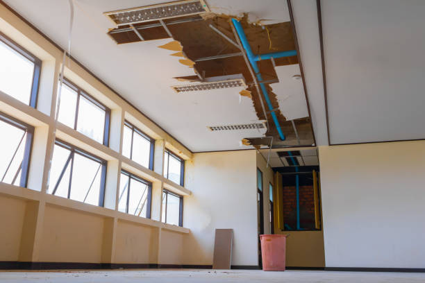 Best Carpet water damage restoration  in Monroe, UT