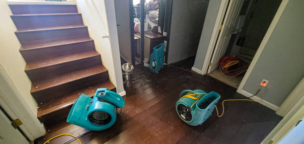Best Residential water damage restoration  in Monroe, UT