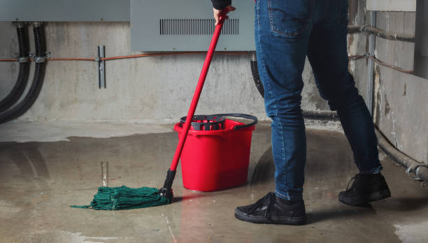 Best Fire Damage Restoration  in Monroe, UT