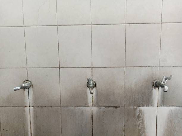 Best Water damage cleanup near me  in Monroe, UT