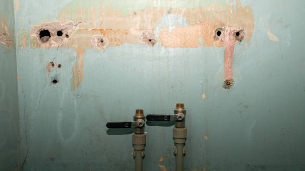 Best Local water damage restoration  in Monroe, UT