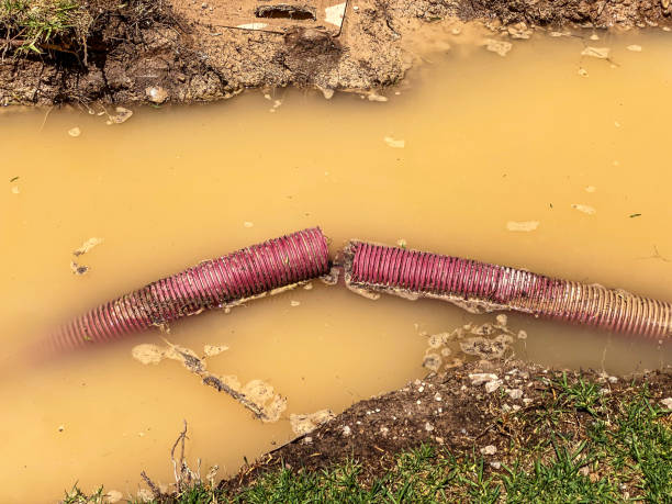 Best Mold removal after water damage  in Monroe, UT