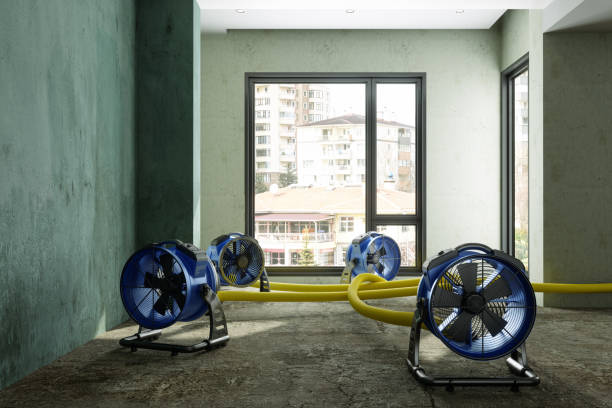 , UT Water damage restoration Company